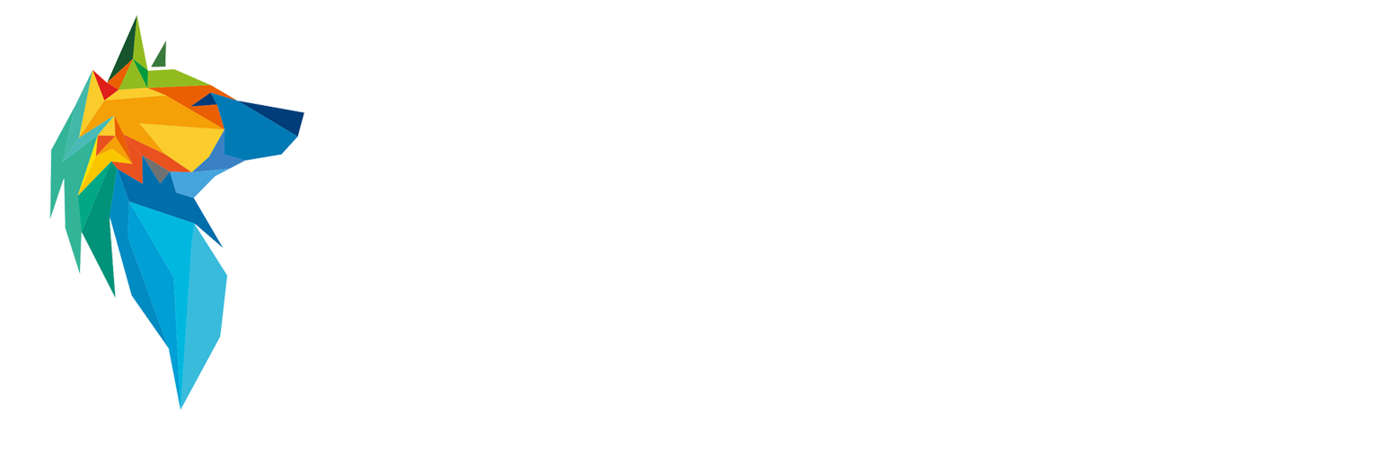 Lone Wolf Consulting